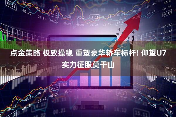 点金策略 极致操稳 重塑豪华轿车标杆! 仰望U7实力征服莫干山