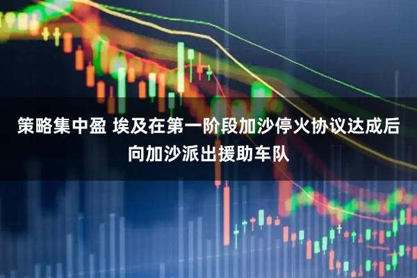 策略集中盈 埃及在第一阶段加沙停火协议达成后向加沙派出援助车队